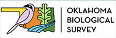 OBS Logo